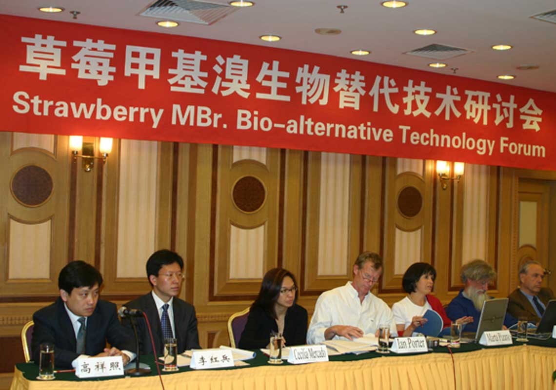 聯(lián)合國環(huán)境署、聯(lián)合國工發(fā)組織等機構出席了我公司舉行的草莓甲基溴生物替代技術(shù)研討會(huì )